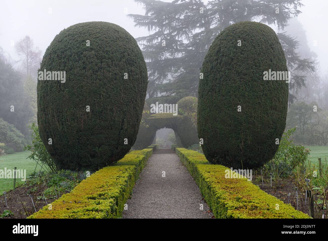 Eibe winter -Fotos und -Bildmaterial in hoher Auflsung  Alamy