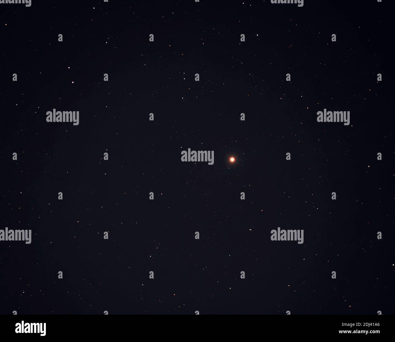 Roter Superriesen-Stern Betelgeuse im Sternbild Orion, zehnthellster Stern am Nachthimmel, 500 Lichtjahre vom Planeten Erde, aufgenommen am klaren Nachthimmel aus London UK am 12.12.2020 mit Nikon Z7 am Teleskop. Stockfoto