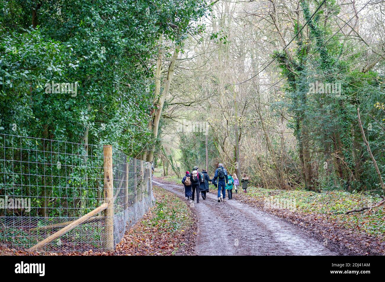 Wendover, Buckinghamshire, Großbritannien. Dezember 2020. Der Ridgeway. Einheimische und Familien aus Wendover nahmen heute an einem gesellschaftlich distanzierten Spaziergang von Wendover entlang des Ridgeway zum Jones Hill Wood Teil, um das Wasser und die Wälder von Wendover zu feiern. Das HS2 High Speed Rail Projekt zerstört Teile der Chilterns AONB. HS2 hat zwangsweise einen Teil des nahegelegenen Jones Hill Wood gekauft und plant, weitere uralte Waldgebiete dort als Teil der umstrittenen Hochgeschwindigkeitsstrecke von London nach Birmingham zu zerstören. HS2 gefährdet 108 uralte Waldgebiete. Quelle: Maureen McLean/Alamy Stockfoto