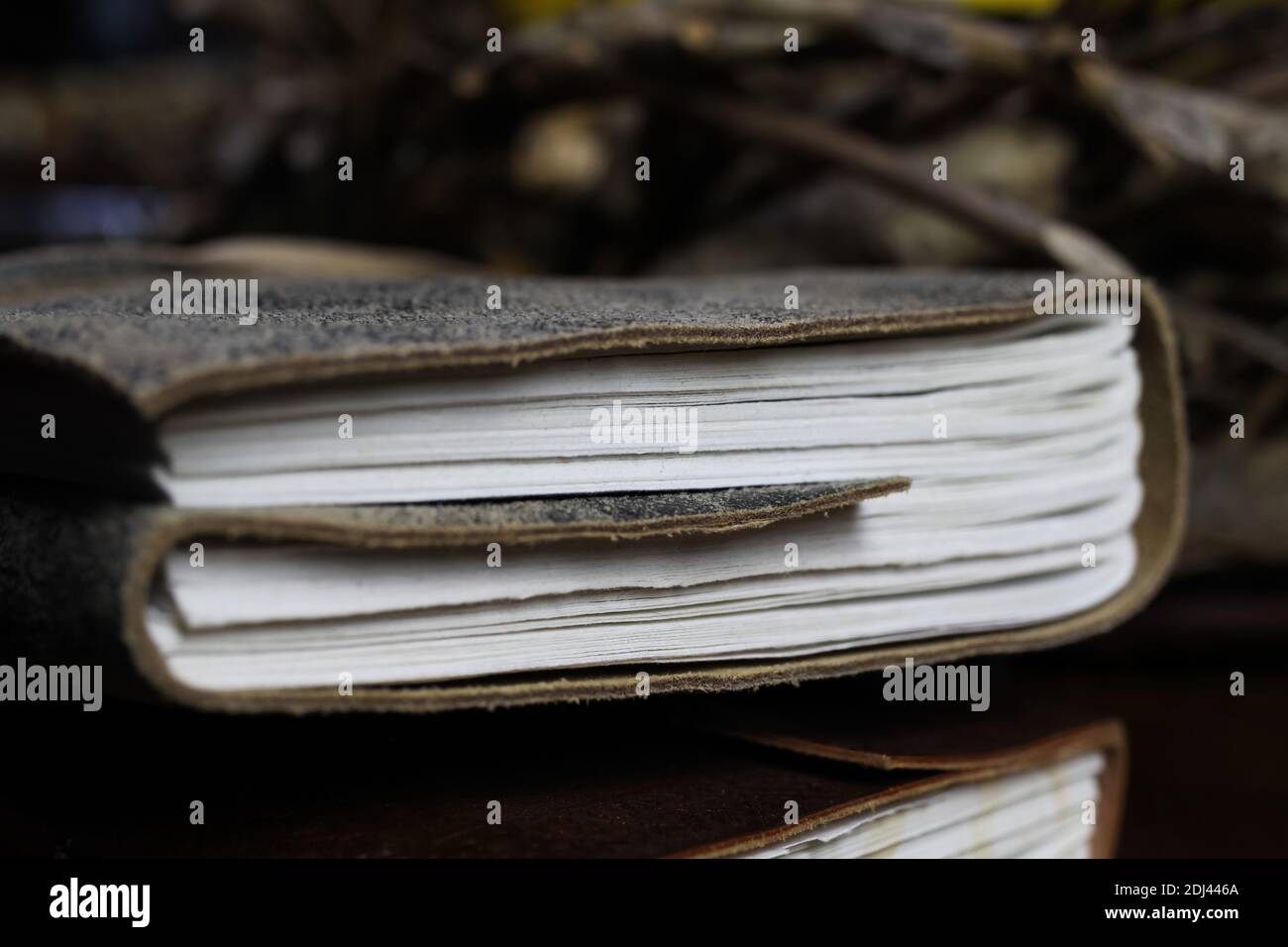 Nahaufnahme der Seiten von isolierten Buch top mit vintage Lederbindung Stockfoto