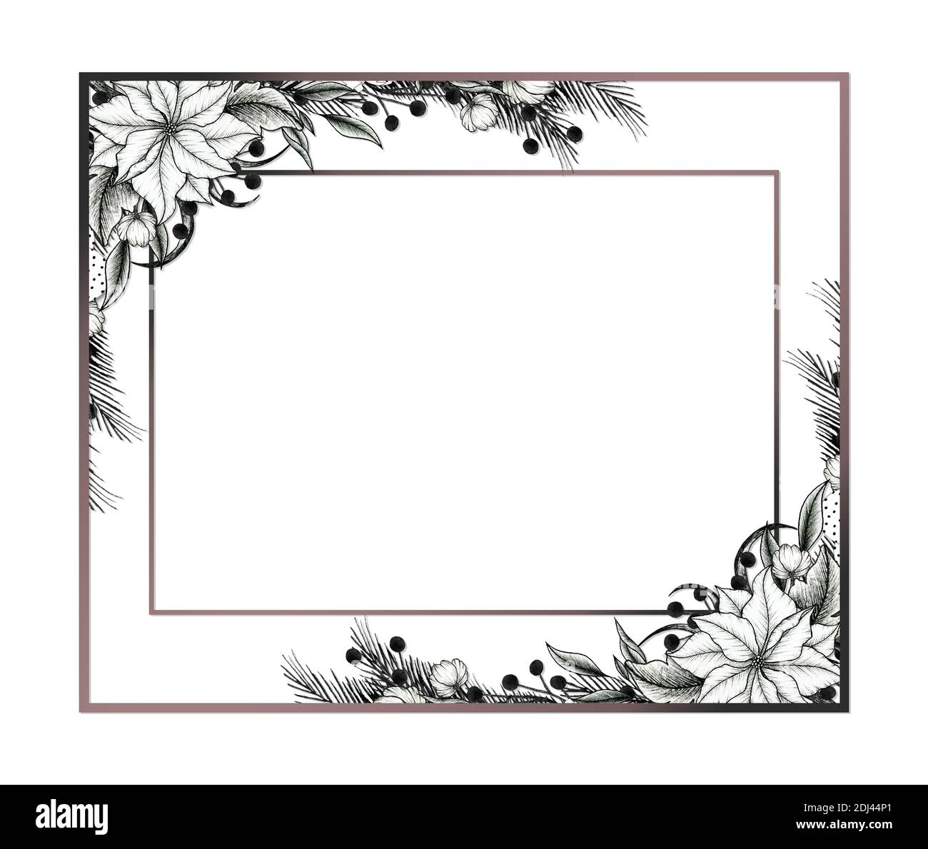 Weihnachten vintage Karte Vorlage, Winter floral Rahmen mit Weihnachtsstern  Blumen und Tannenzweigen fr Weihnachtskarten, Gre oder Einladungen  Stockfotografie - Alamy