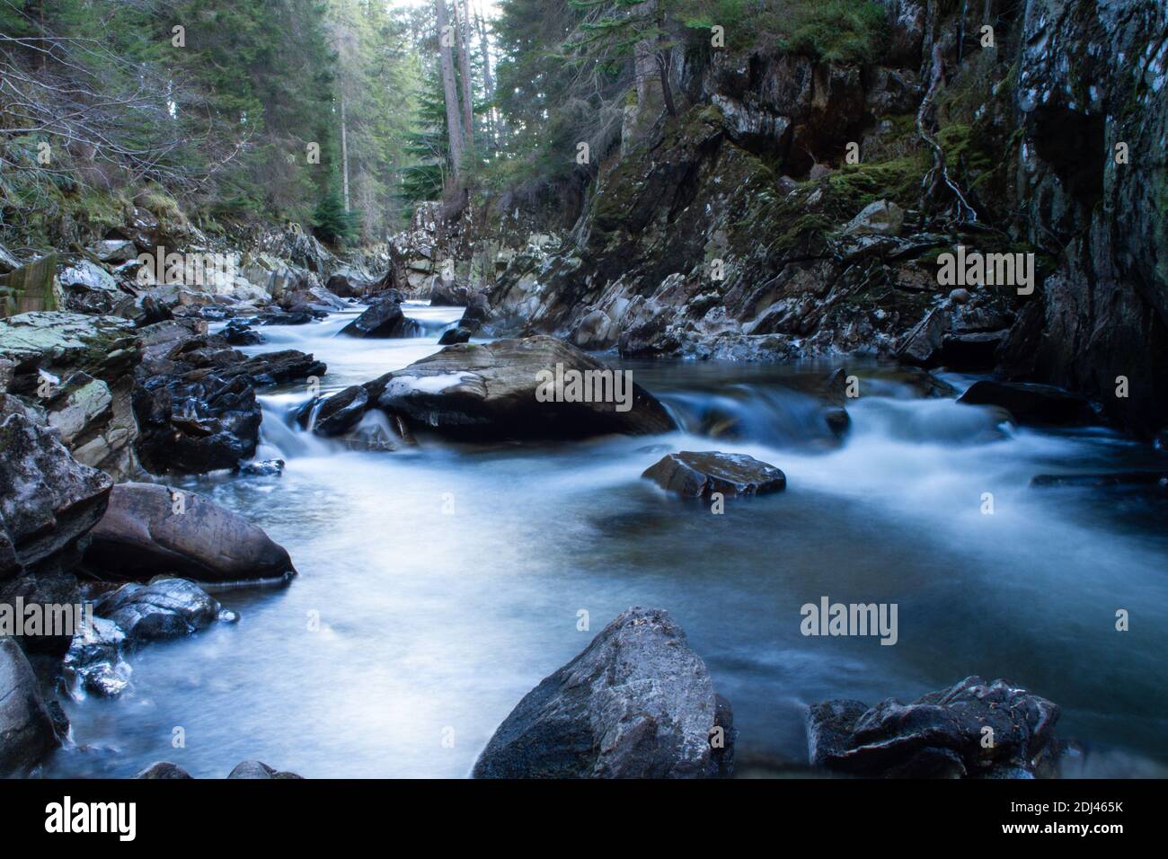 Long Exposure Fluss Durch Wald Stockfoto