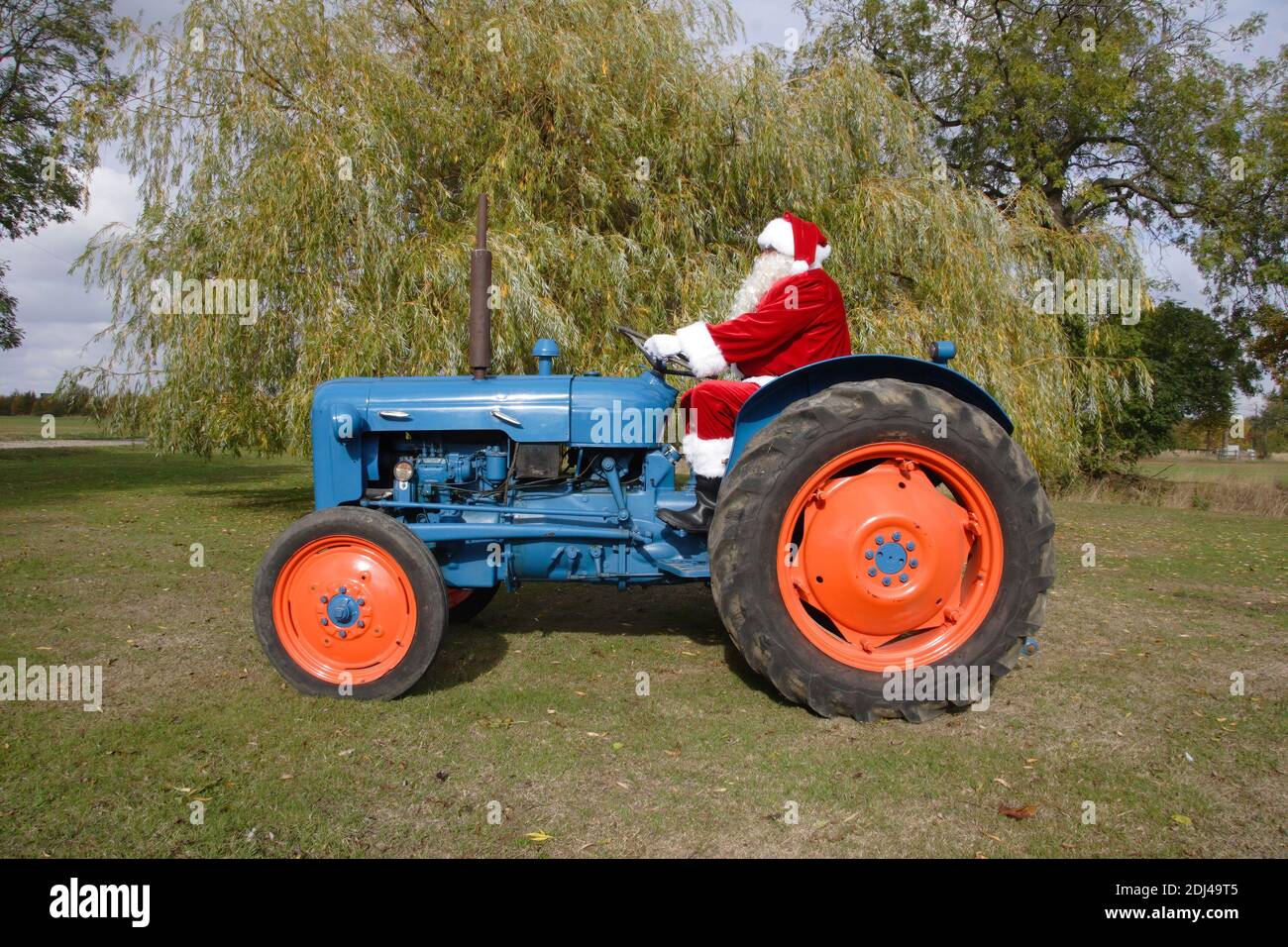 Vater Weihnachten fahren einen Fordson Dexta blauen Traktor in einem Wiese Stockfoto