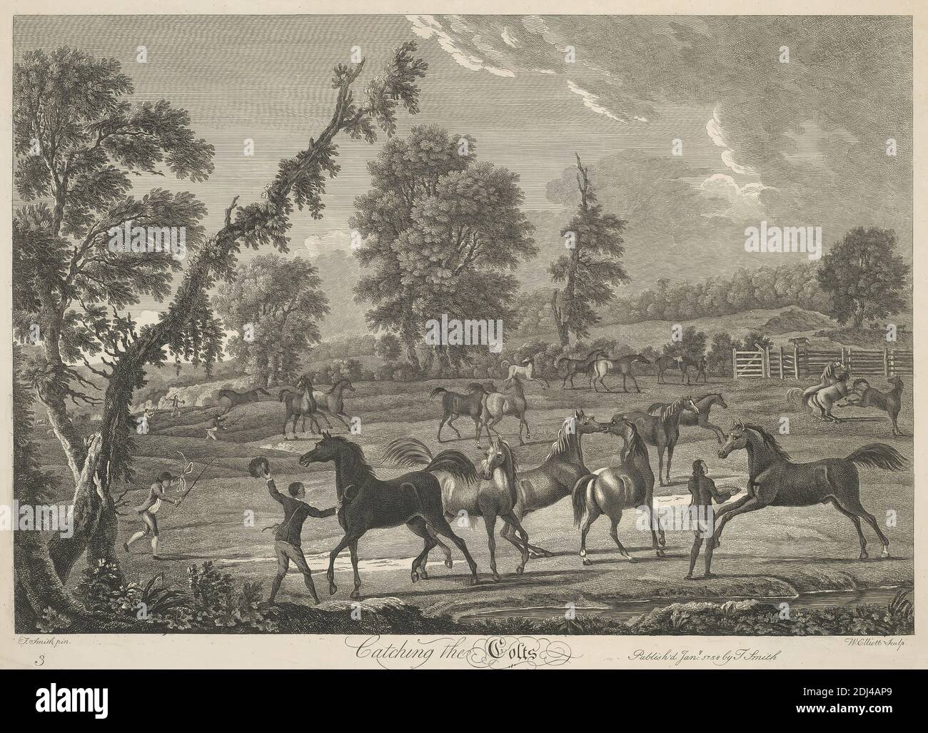 Pferderennen Satz von sechs: 3. Catching the Colts, William Elliot, aktiv 1774, starb 1792, Briten, nach Thomas Smith von Derby, ca. 1720–1767, britisch, 1758, Gravur, Blatt: 15 3/8 x 21 3/8 Zoll (39.1 x 54,3 cm Stockfoto