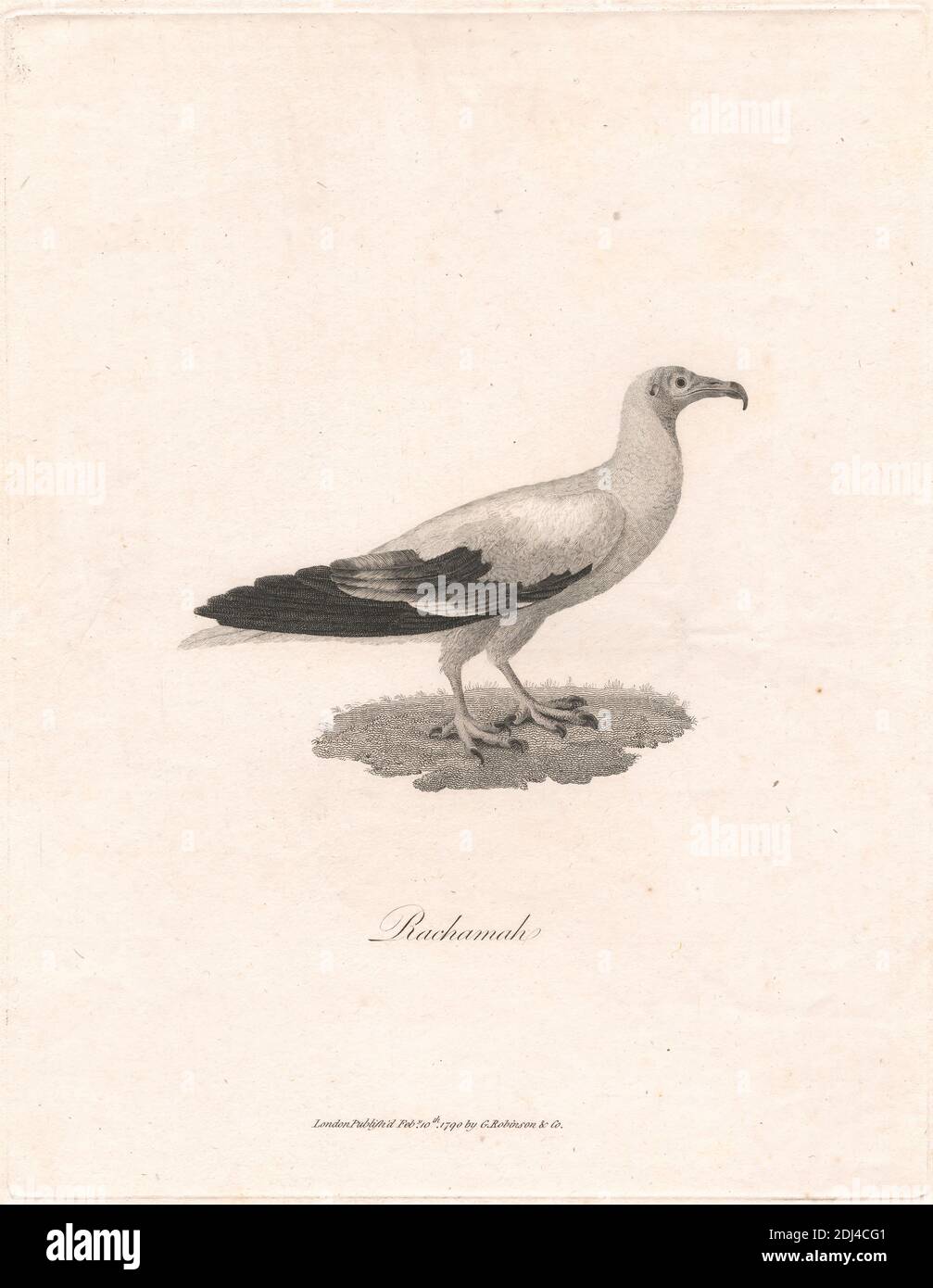 Rachamah, James Heath, 1757–1834, britisch, nach James Bruce, 1730–1794, britisch, 1790, Engraving Stockfoto