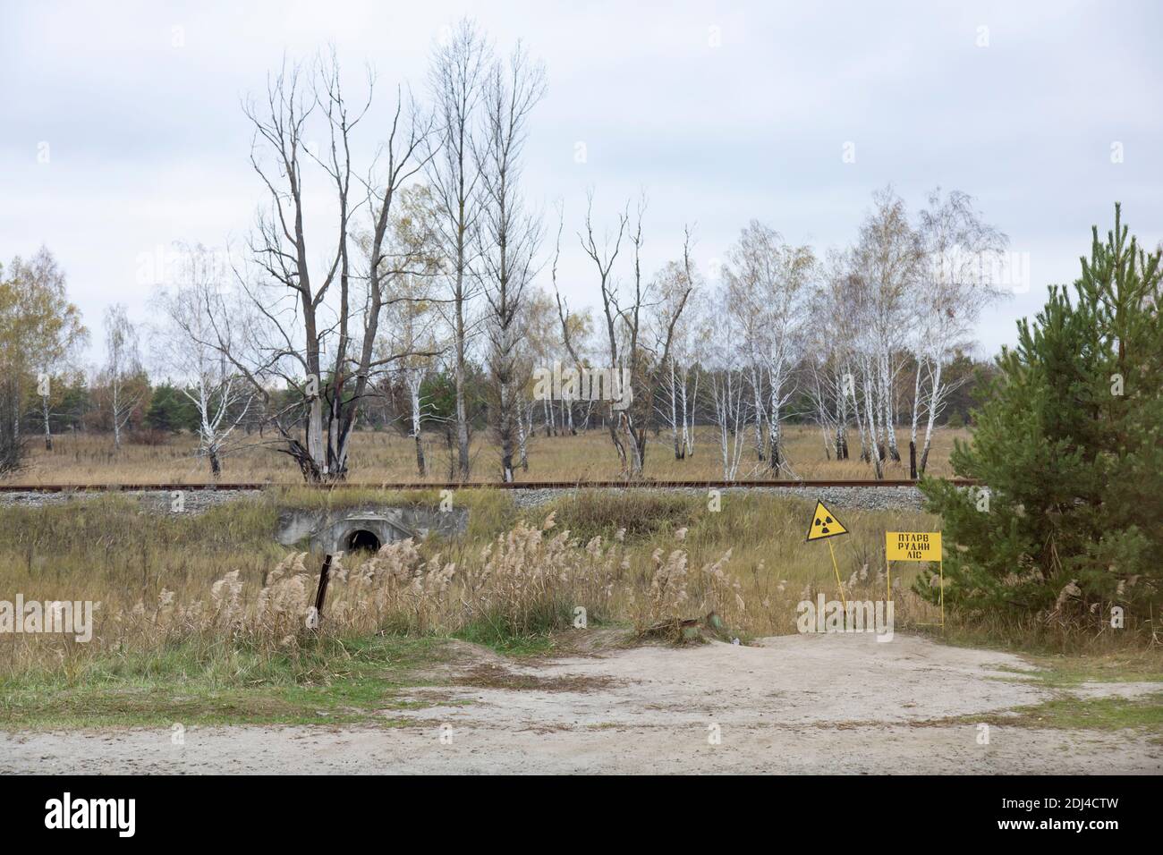Pripyat, Tschernobyl-Sperrgebiet, Ukraine - Gefahrenschilder in der Nähe des Roten Waldes, einer hochradioaktiven Stelle im Tschernobyl-Sperrgebiet in der Nähe des Gespenstes Stockfoto