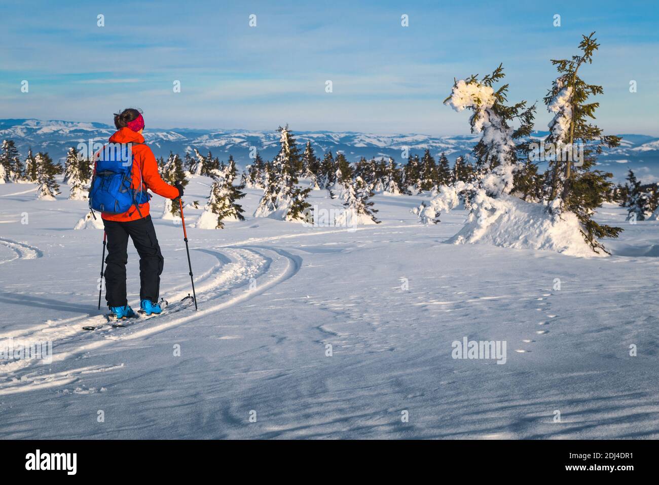 Skilanglauf im Neuschnee. Sportlich fröhliche Frau mit buntem Rucksack, Skitouren im tiefen Pulverschnee und die Aussicht genießen, Carpath Stockfoto