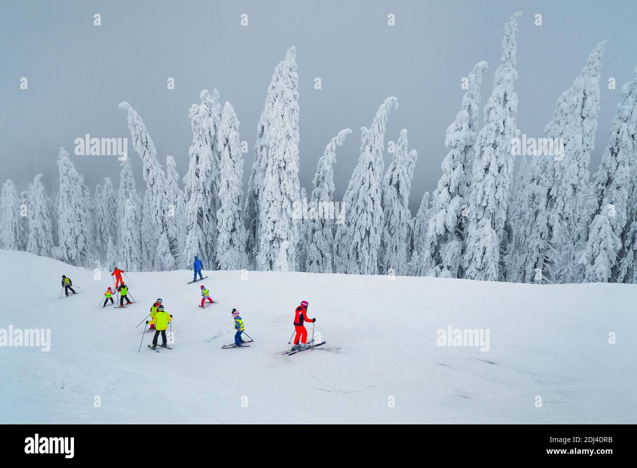 Fabelhafte schneebedeckte Bäume und nebligen Winter Ski-Resort. Aktive Kinder Skifahrer Skifahren in berühmten Poiana Brasov Skigebiet, Siebenbürgen, Rumänien, Stockfoto