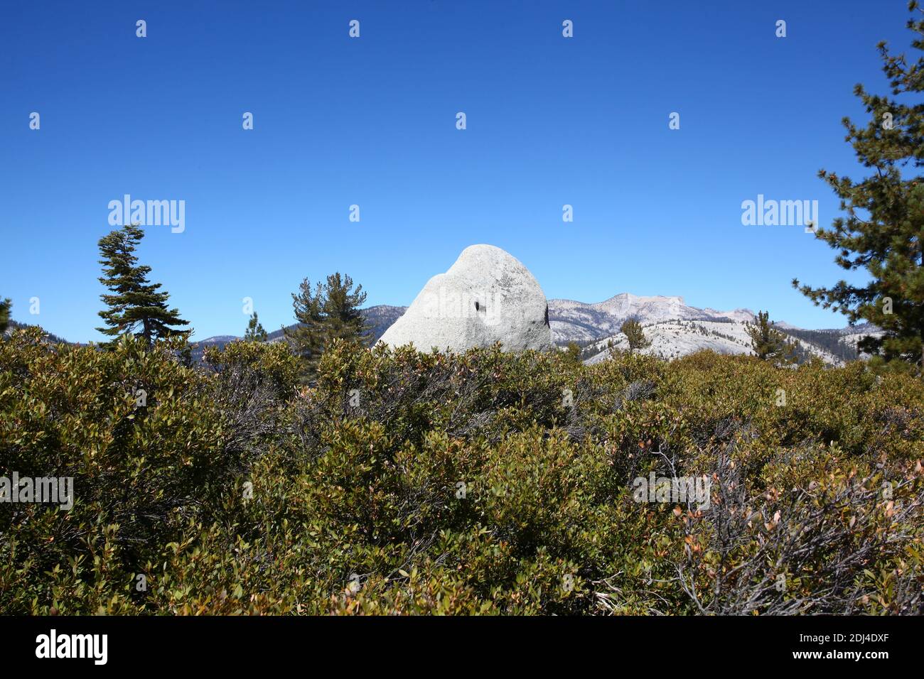 Falls Trail auf dem Weg zum Felsen klettern Half Dome im Yosemite-Nationalpark, Kalifornien USA Stockfoto