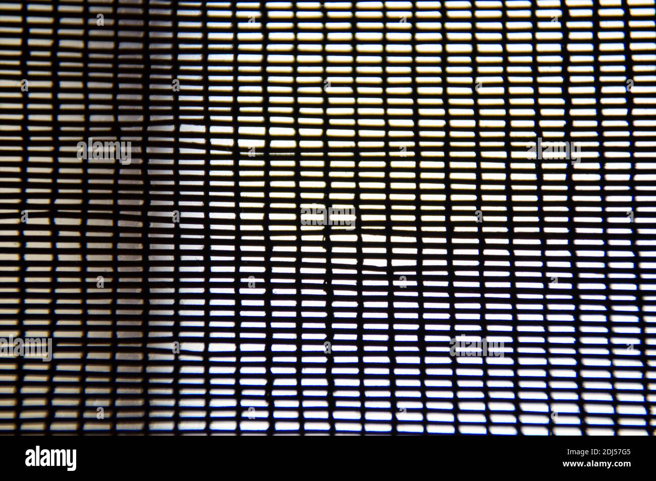 Netzstruktur. Netz im Fenster. Raster für den Hintergrund. Stockfoto
