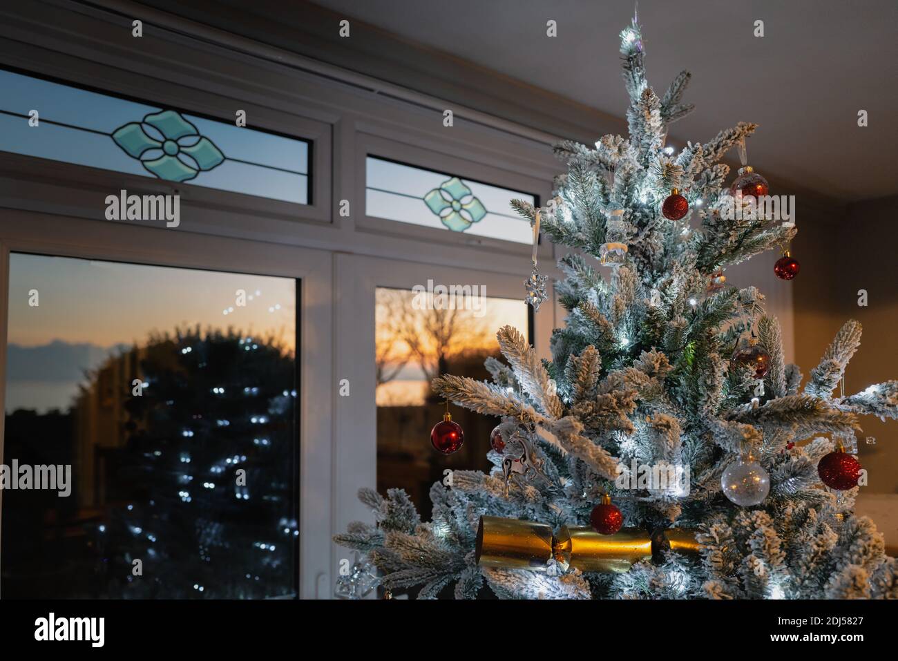 Ein ziemlich frostiger, atifischer Weihnachtsbaum mit Lichterketten vor den Terrassentüren während eines goldenen Sonnenuntergangs. Stockfoto