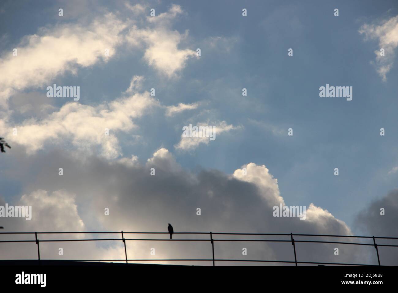 Blauer Abendhimmel mit leichten weißen Wolken. Stockfoto