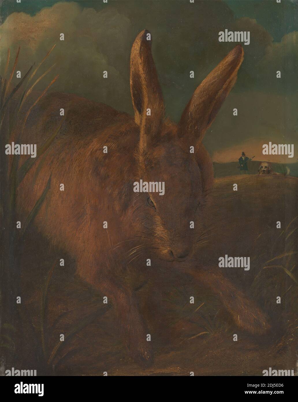 Hare Coursing, Philip Reinagle, 1749–1833, britisch, ca. 1810, Öl auf Leinwand, insgesamt: 14 1/8 × 11 1/8 Zoll (35.9 × 28.3 cm), Hund (Tier), Gras, Hase, Landschaft, Mann, Kaninchen, Sportkunst Stockfoto