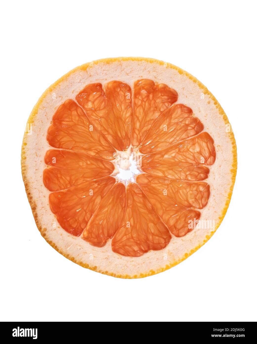 Innere Details der Grapefruit-Scheibe isoliert auf weißem Hintergrund Stockfoto
