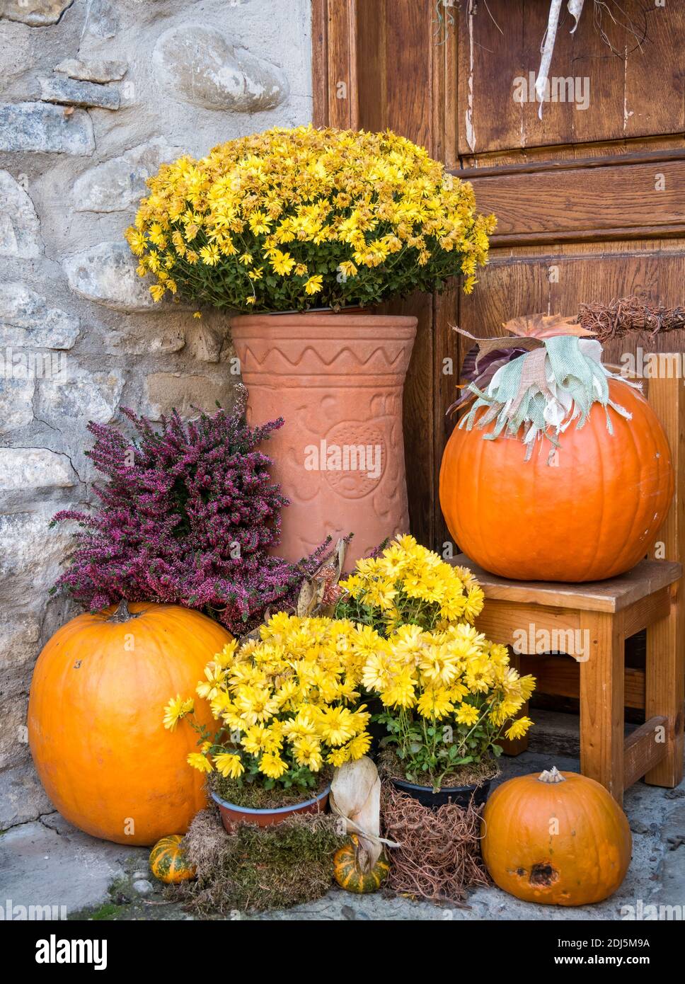 Ornamentale Anordnung mit großen orangefarbenen Kürbissen und gelben Blüten in einer Vase. Stockfoto