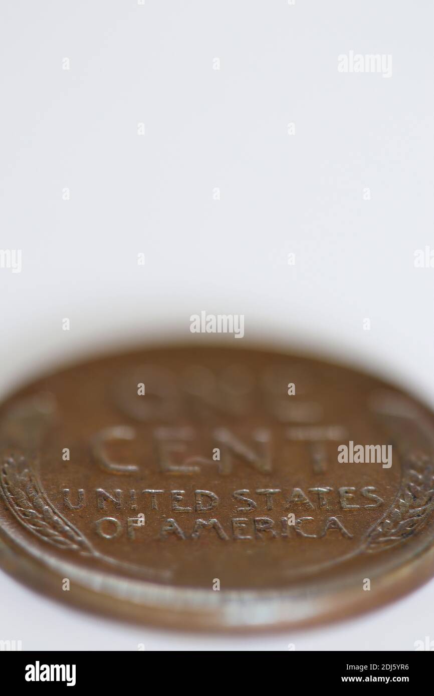 Makro-Nahaufnahme einer Cent-Münze auf weißem Hintergrund mit Kopierbereich und enge Schärfentiefe bei United Staaten von Amerika schreiben Stockfoto