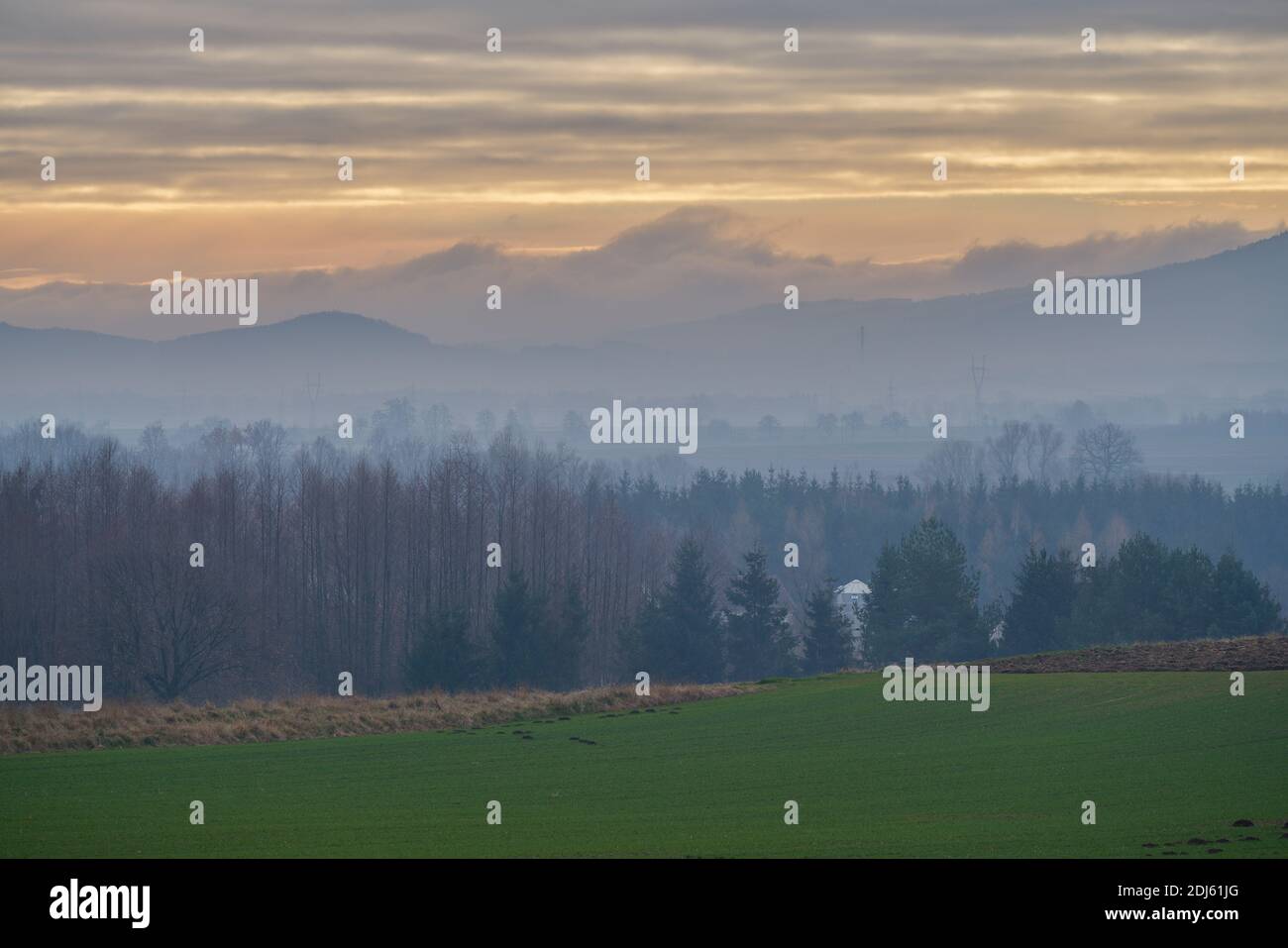 Dezember geheimnisvolle neblig, neblig bewölkt und launisch Winterlandschaft Góry sowie Niederschlesien Polen Stockfoto