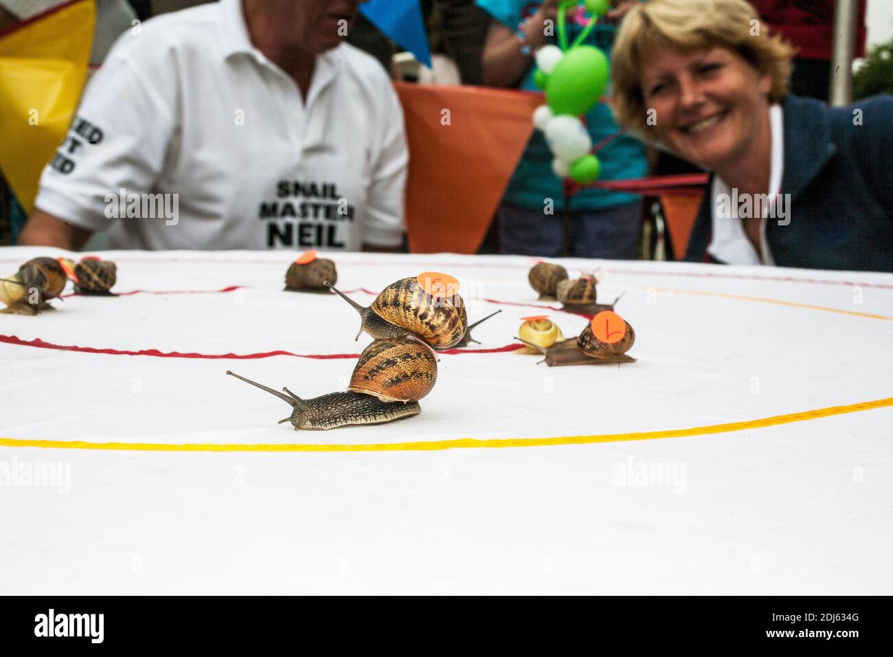 GROSSBRITANNIEN / England /Congham/ Schneckenweltmeisterschaften 2013. Stockfoto