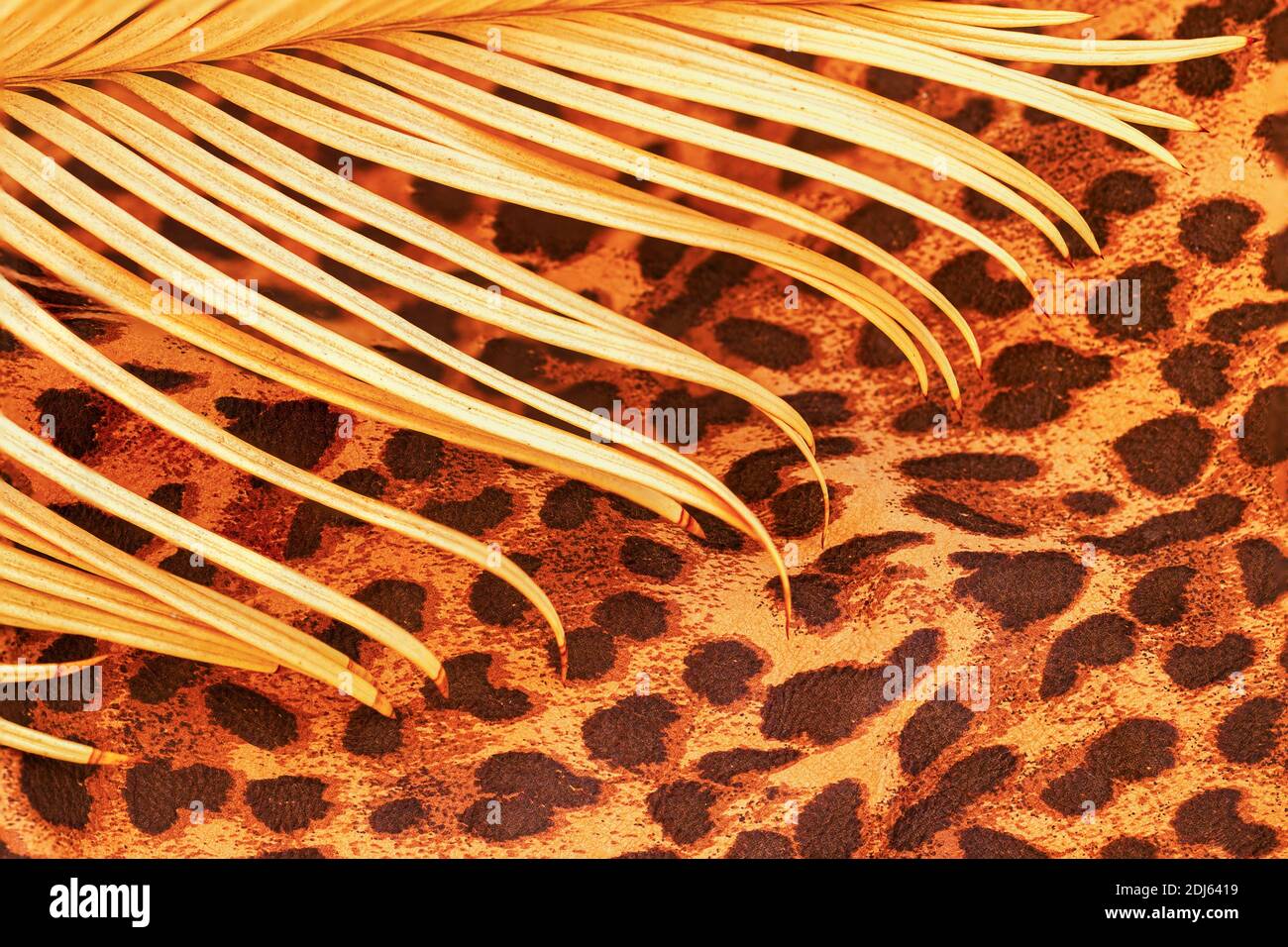 Abstrakter exotischer Hintergrund, Textur. Zweig der tropischen Palme und auf Muster von Leopard, jaguar Stockfoto