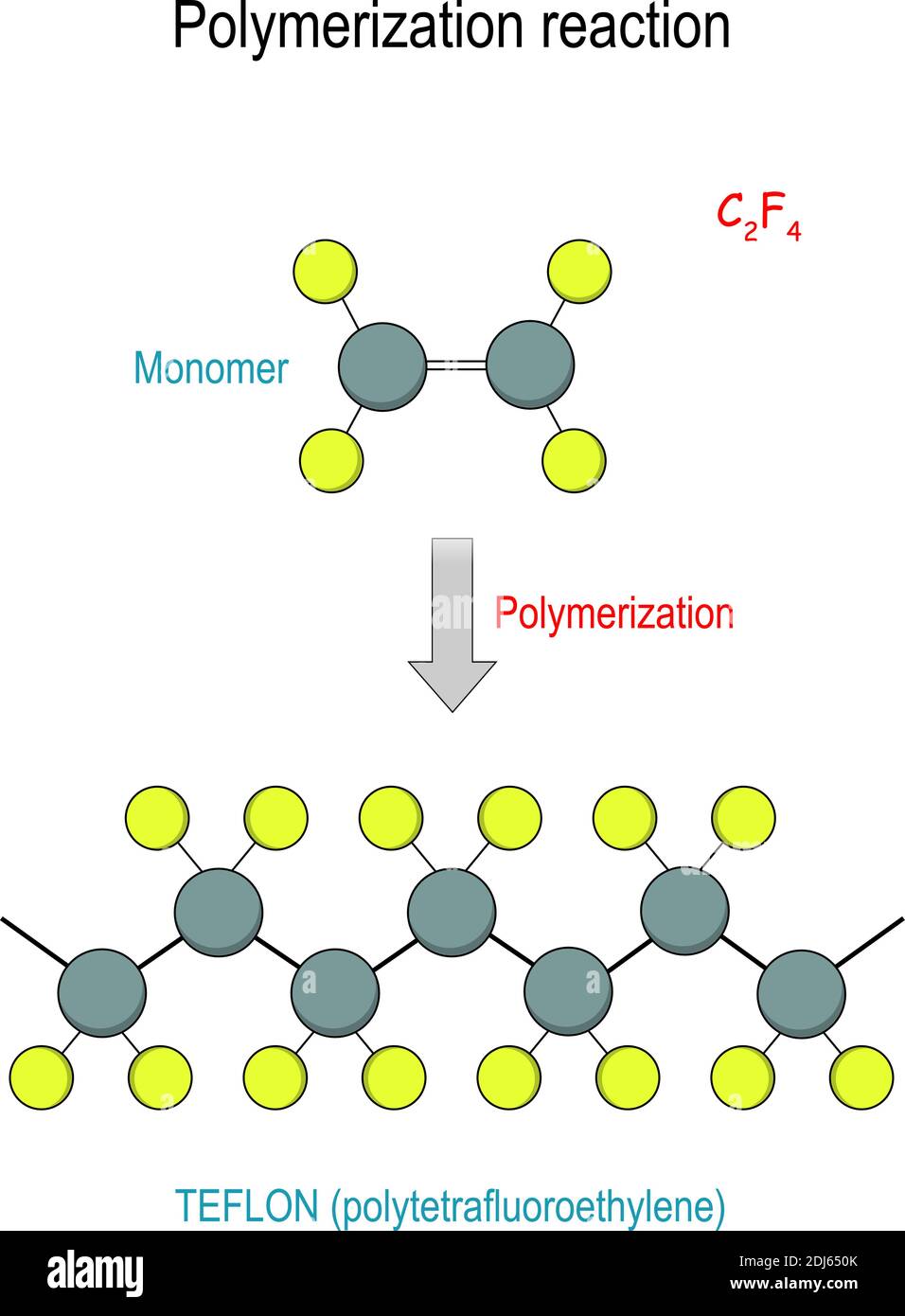 Teflon-Molekül. Chemische Reaktion der Polymerisation. Polytetrafluorethylen. Strukturformel und Modell des Moleküls. C2F4 Vektordiagramm Stock Vektor