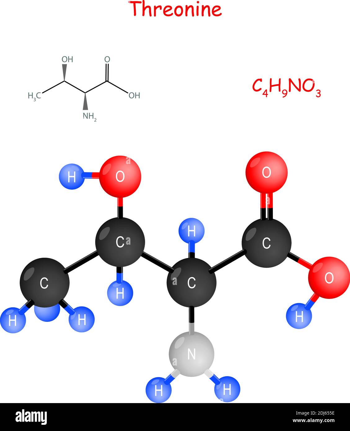 Threonin ist eine essentielle Aminosäure für die Biosynthese von Proteinen. Chemische Strukturformel und Modell des Moleküls. C4H9NO3. Vektorgrafik Stock Vektor