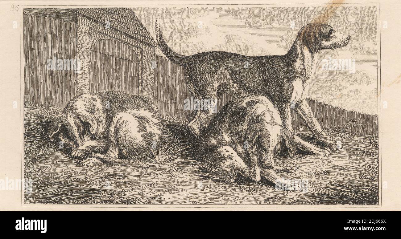 Three Dogs, Print made by Samuel Howitt, 1756–1822, britisch, undatiert, Radierung auf mittelschwerem, leicht strukturiertem cremefarbenen Papier Stockfoto Three Dogs, Print made by Samuel Howitt, 1756–1822, britisch, undatiert, Radierung auf mittelschwerem, leicht strukturiertem cremefarbenen Papier Stockfoto