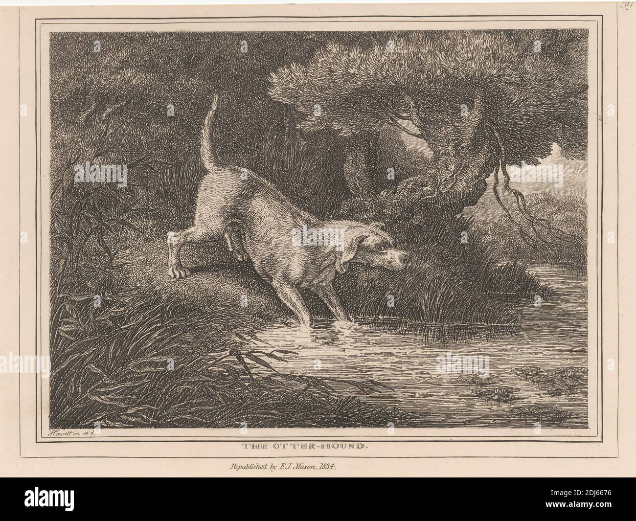 The Otter Hound, Druck von Samuel Howitt, 1756–1822, British, 1834, Radierung auf mittelschwerem, leicht strukturiertem, cremefarbenem Wove-Papier Stockfoto The Otter Hound, Druck von Samuel Howitt, 1756–1822, British, 1834, Radierung auf mittelschwerem, leicht strukturiertem, cremefarbenem Wove-Papier Stockfoto