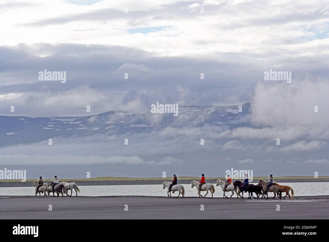 Island / Ostisland/Husey/ der Bauernhof bietet kurze und lange Wanderungen zu Pferd in Richtung Dünen und Meer.' Stockfoto