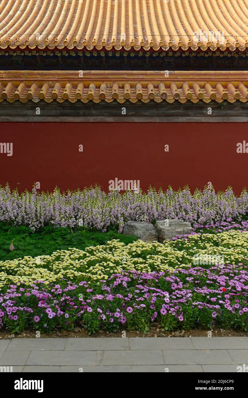 Blick über die Pflanzungen von einjährigen Pflanzen im Garten am Tempel der Erde, oder Ditan, in Peking, China Stockfoto