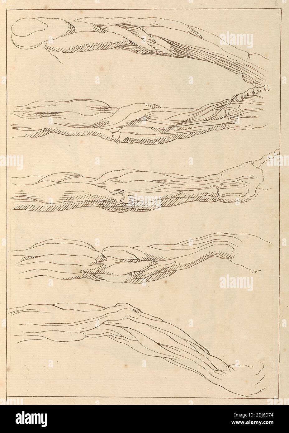 Anatomic Studies of Arms, 14. Oktober 1716, Hamlet Winstanley, 1698–1756, British, 1716, Stift und braune Tinte auf Medium, leicht strukturiert, cremefarbenes Papier, Blatt: 12 1/8 × 7 3/4 Zoll (30.8 × 19.7 cm) und Bindung: 13 Zoll (33 cm) Stockfoto