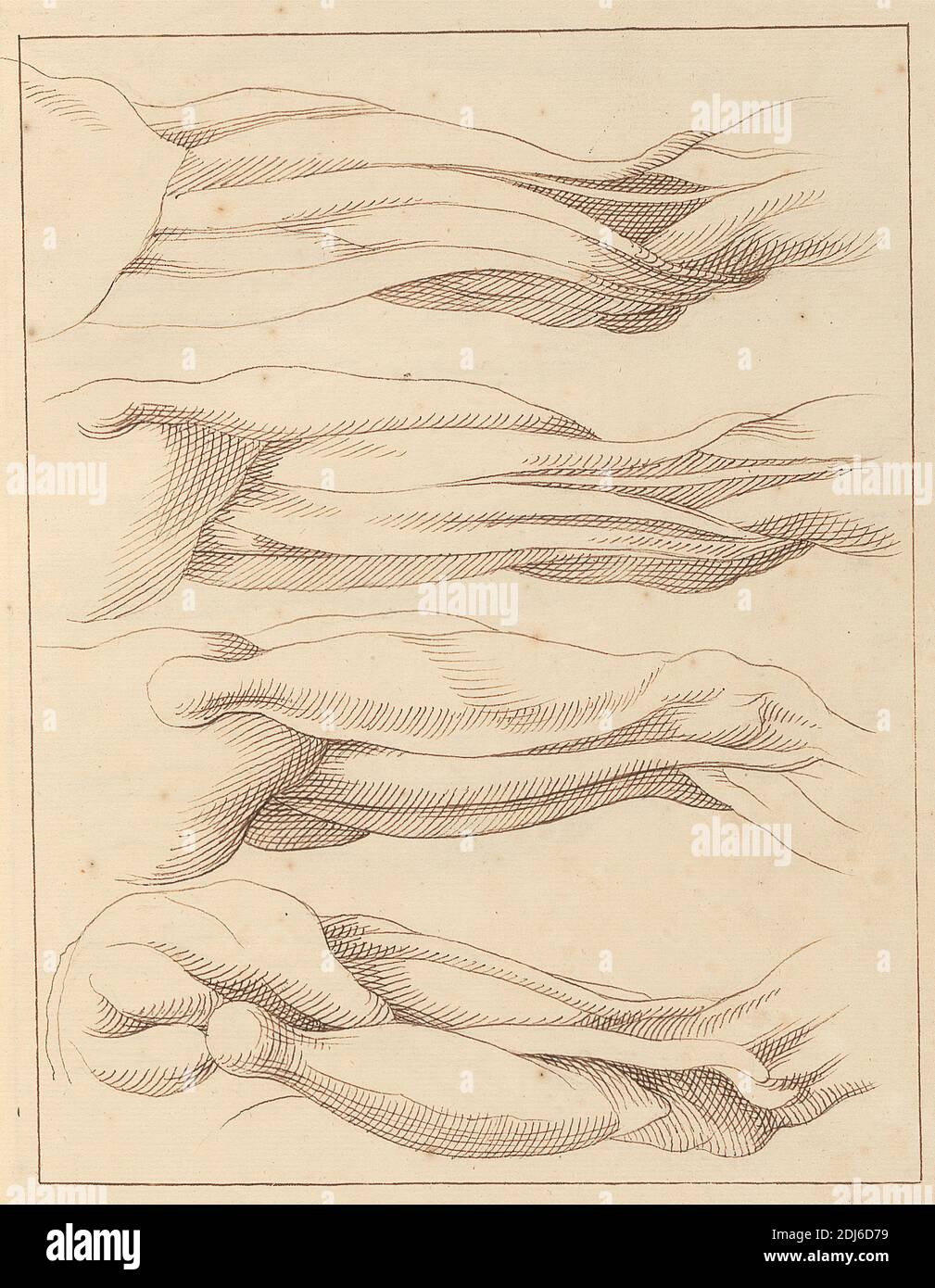 Anatomic Studies of Legs, 14. Oktober 1716, Hamlet Winstanley, 1698–1756, British, 1716, Stift und braune Tinte auf Medium, leicht strukturiert, cremefarbenes Papier, Blatt: 12 1/8 × 7 3/4 Zoll (30.8 × 19.7 cm) und Bindung: 13 Zoll (33 cm) Stockfoto