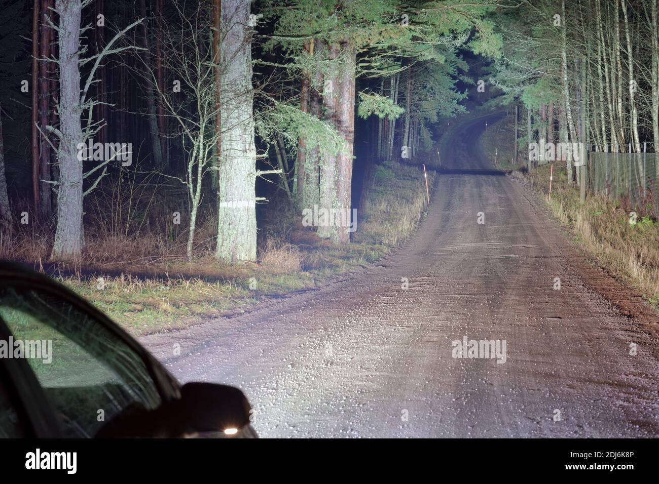 STEDI ST4K LED Rampe beleuchtet eine Forststraße vor Ein Auto während der Nacht Stockfoto
