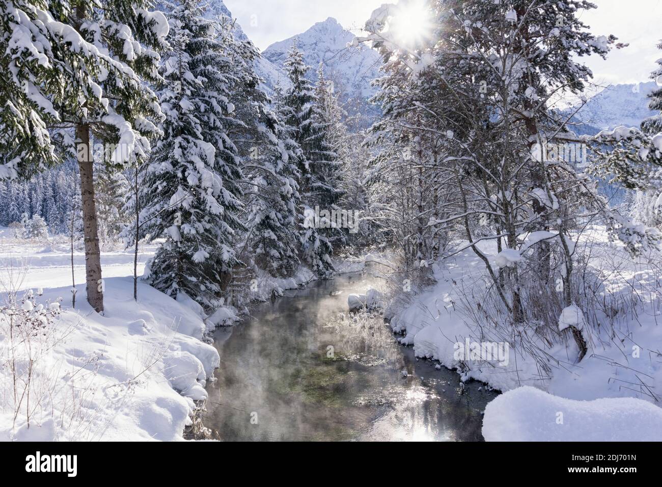 Winter Berglandschaft mit Fluss oder Bach. Bäume bedeckt mit Schnee und Reif, Enten auf dem Wasser, Reflexion der Sonne im Wasser. Sonniger Wein Stockfoto