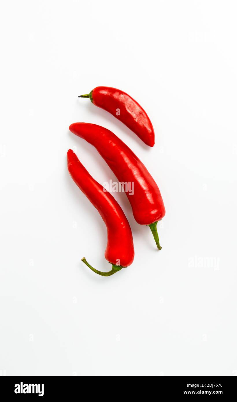 Roter Chili (Capsicum annuum) isoliert auf weißem Hintergrund Stockfoto