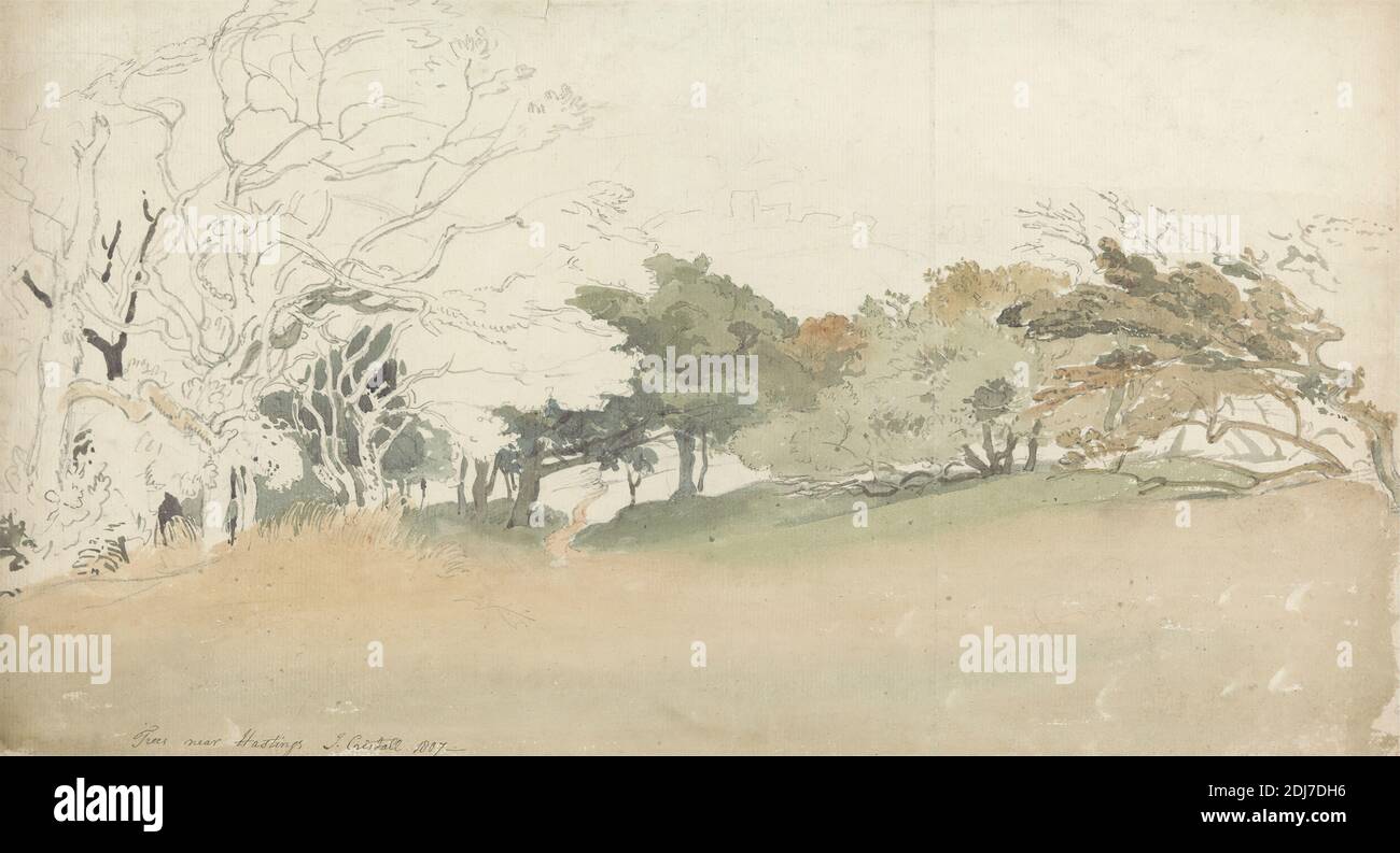 Trees near Hastings, Joshua Cristall, 1768–1847, British, 1807, Aquarell und Graphit auf mäßig dickem, mäßig strukturiertem, gebläutem, weiß gedeckten Papier, Blatt: 9 3/8 x 17 1/4 Zoll (23.8 x 43.8 cm), Herbst, Gras, Hügel, Landschaft, Bäume, Wind, East Sussex, England, Europa, Hastings, Großbritannien Stockfoto