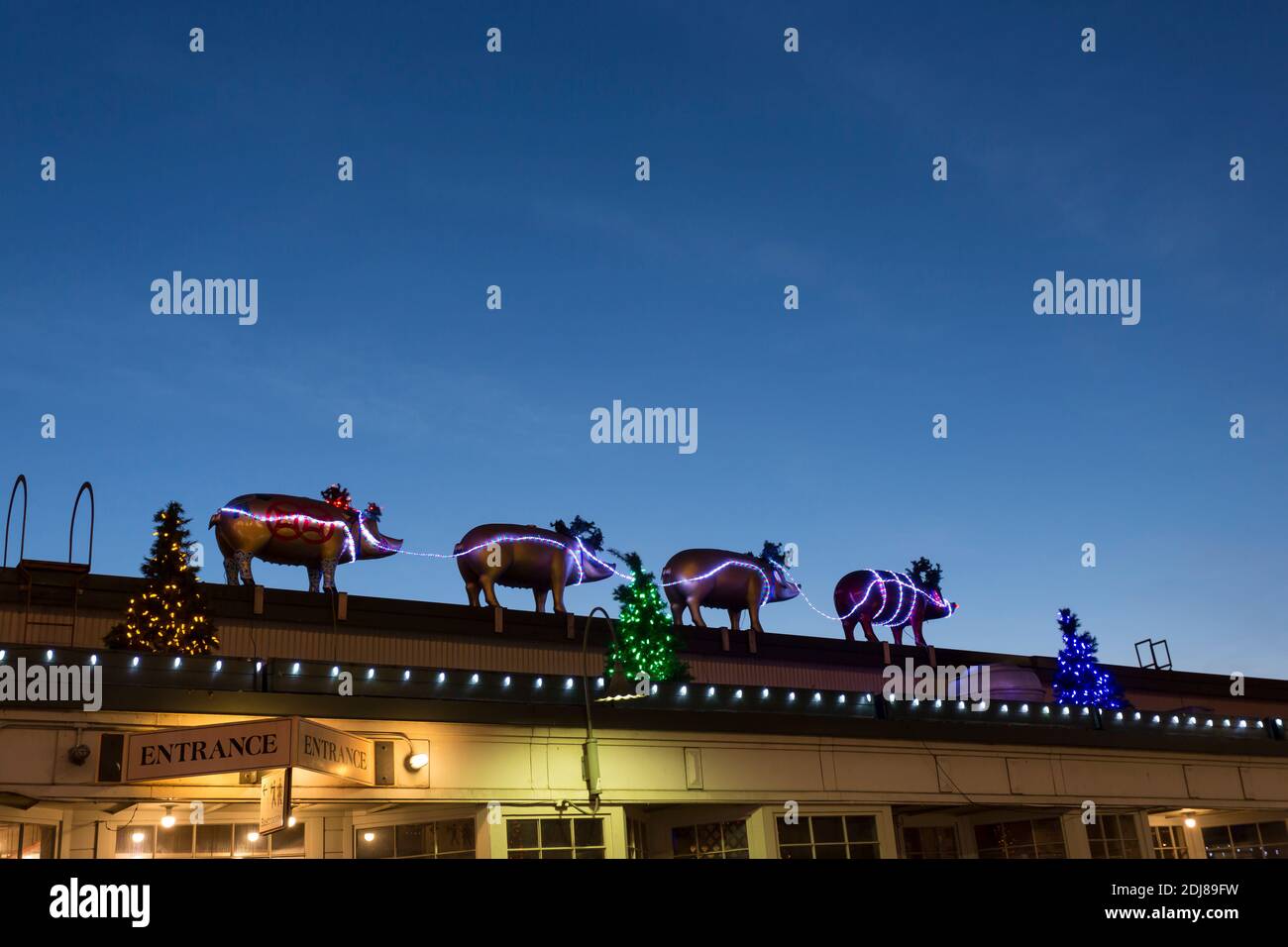 Am Samstag, den 12. Dezember 2020, geht die Sonne auf dem Pike Place Market in Seattle über einer Reihe von bronzenen Schweinen mit Weihnachtsbeleuchtung unter. Stockfoto