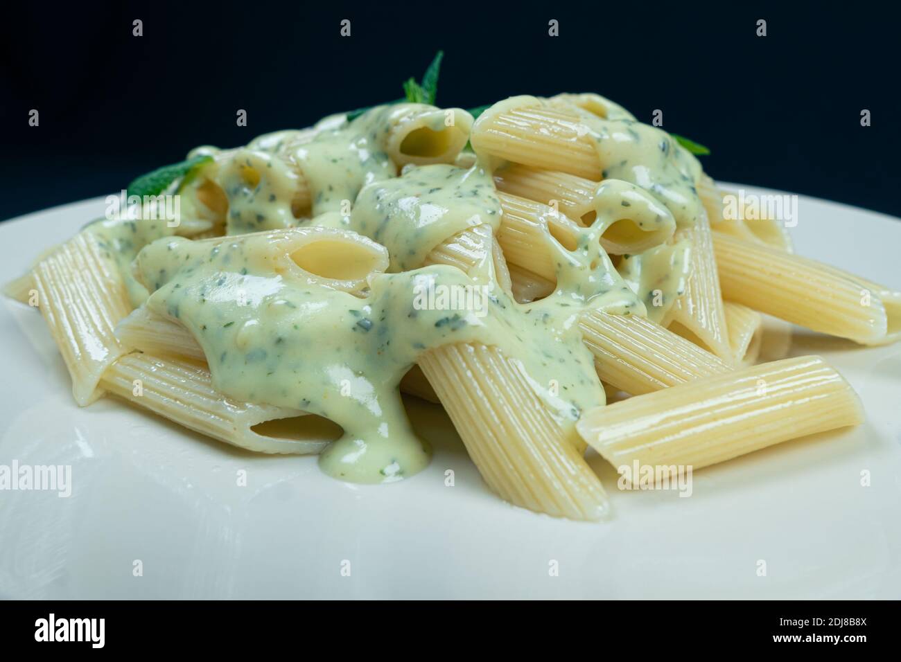 Pesto Penne Nudelgericht auf schwarzem Hintergrund Stockfoto