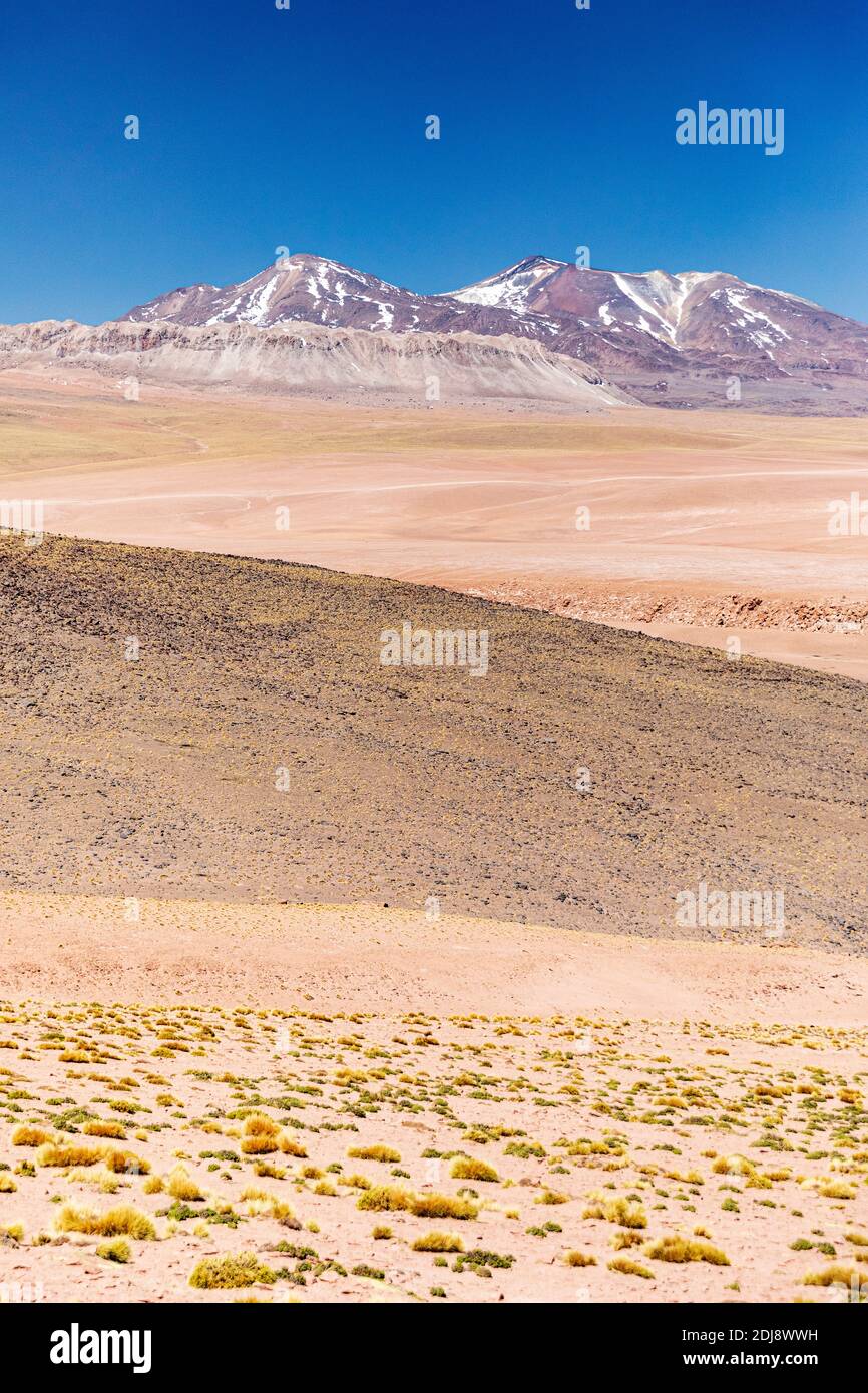 Stratovulkane in der Anden-Zentralvulkanischen Zone, Antofagasta Region, Chile. Stockfoto