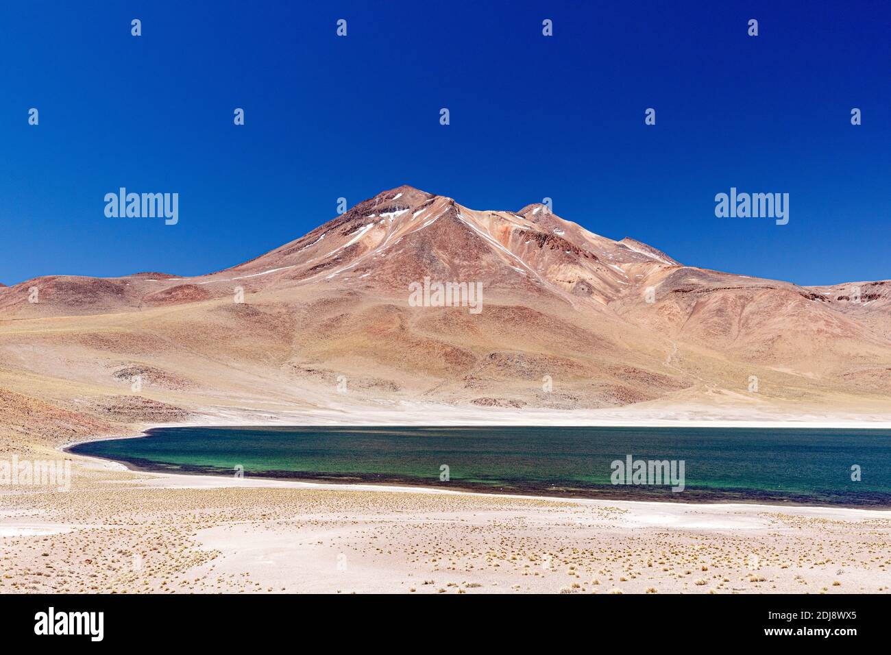 Laguna Miñiques, ein Brackensee auf einer Höhe von 4,120 Metern in der Anden-Zentralvulkanischen Zone, Chile. Stockfoto