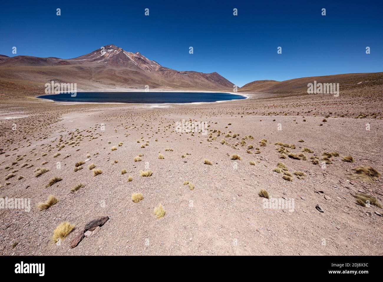 Laguna Miñiques, ein Brackensee auf einer Höhe von 4,120 Metern in der Anden-Zentralvulkanischen Zone, Chile. Stockfoto