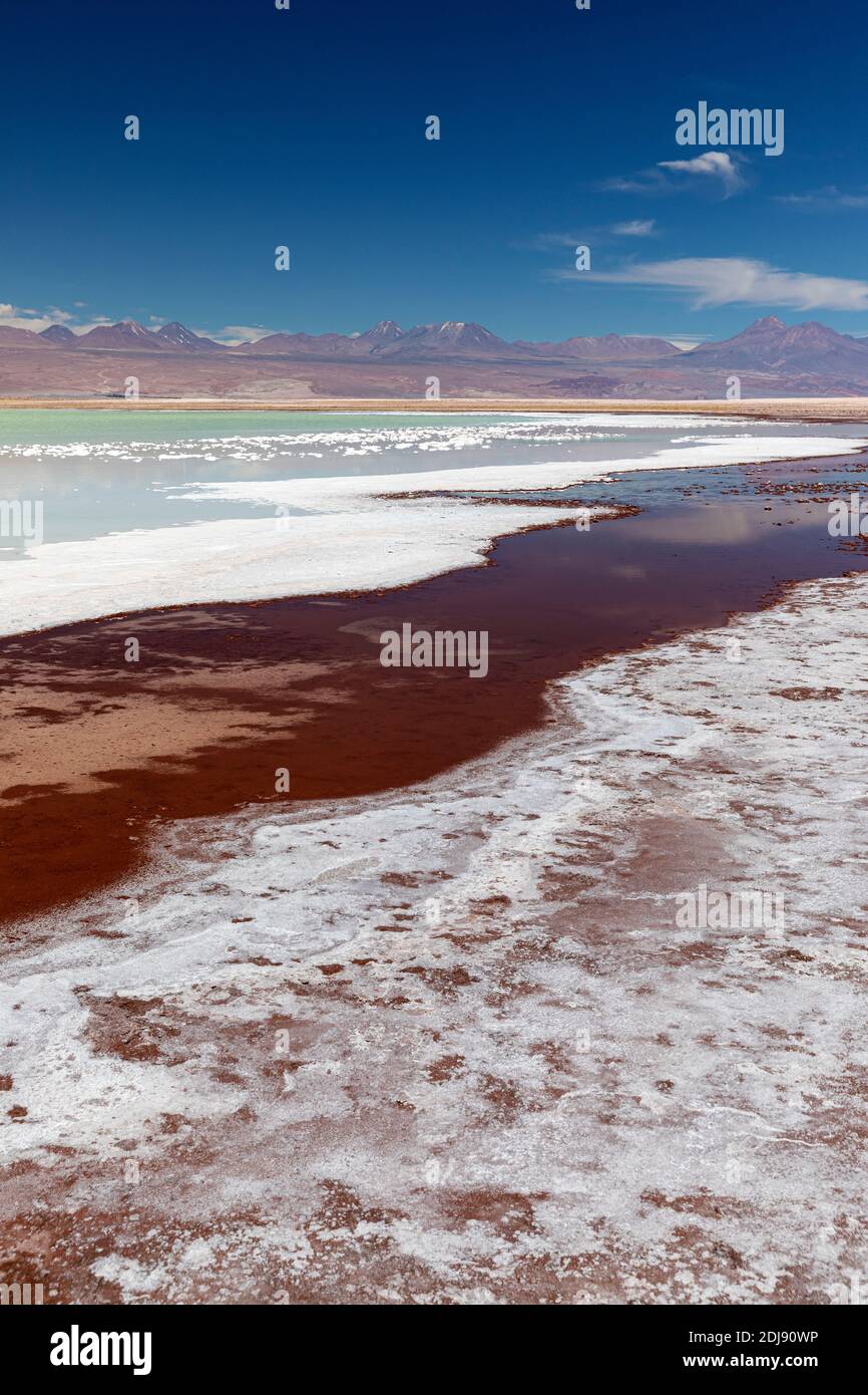 Laguna Tebenquicne, eine Salzwasserlagune im Salar de Atacama, Nationalpark Los Flamencos, Chile. Stockfoto