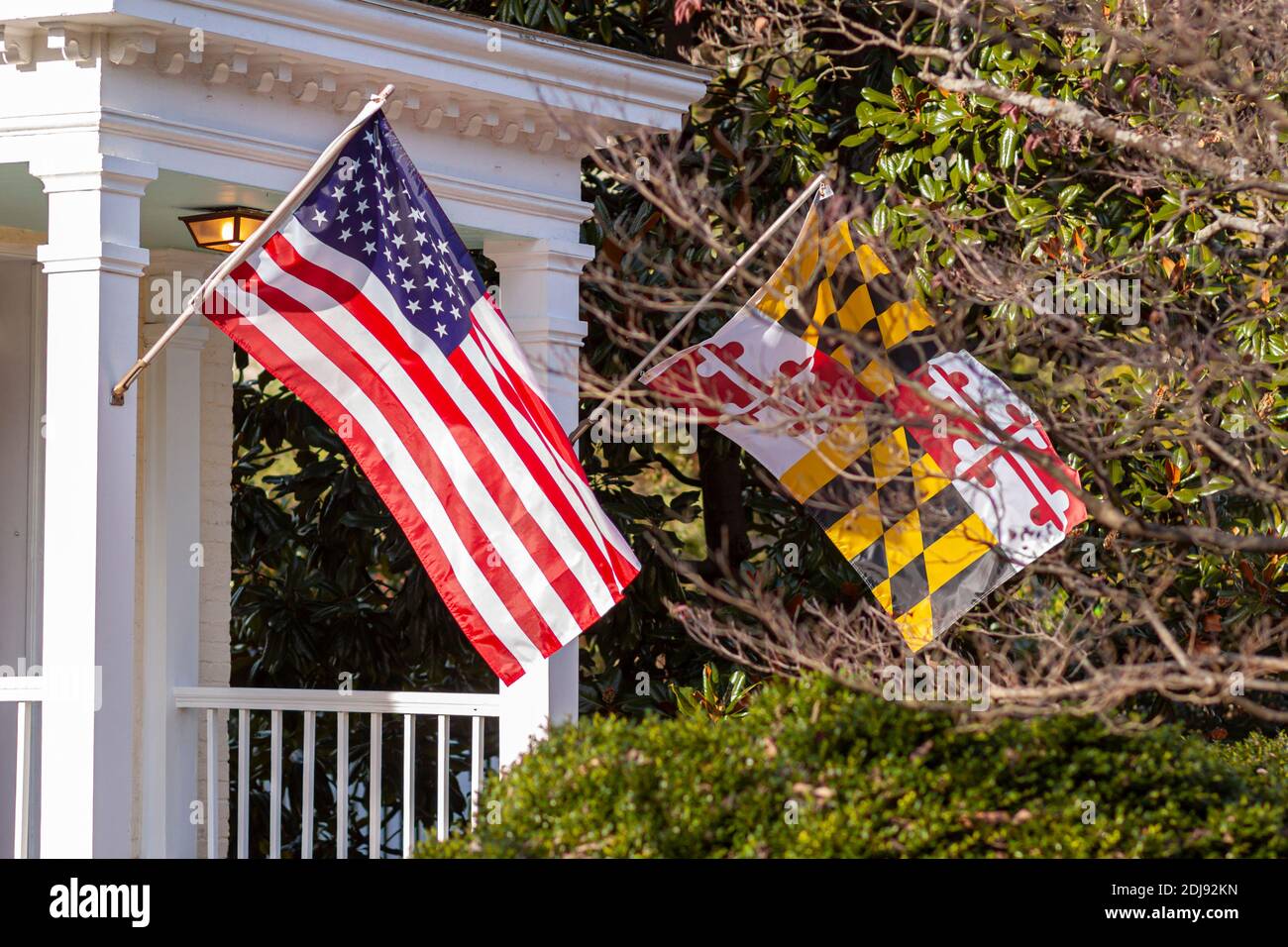 US Flag und Maryland Flag winken Seite an Seite auf Fahnenmasten vor dem Eingang eines historischen Hauses in Rockville, Maryland. Es gibt schöne Shru Stockfoto