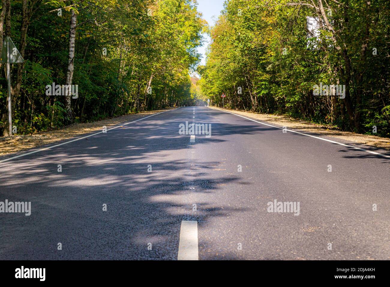 Summer Country Road Mit Bäumen Neben Konzept. Stockfoto