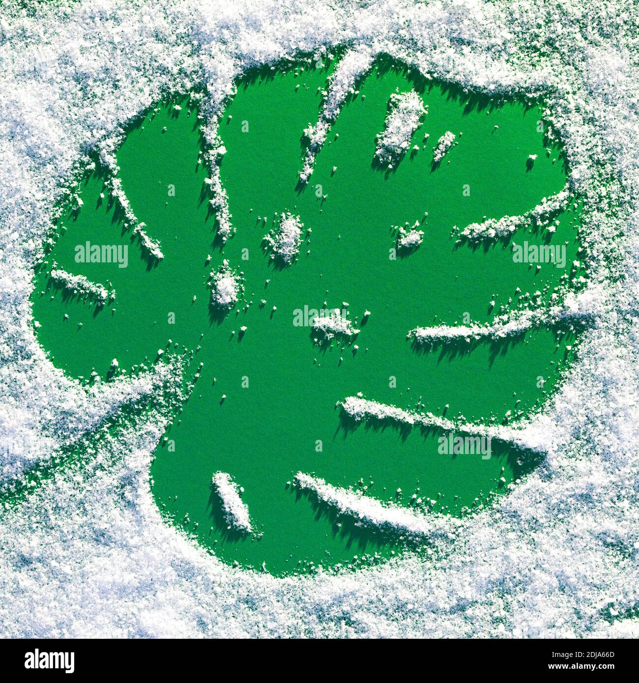 Monstera Blatt Spur auf grünem Papier unter Schneefall. Winter- und Sommerkontrast-Konzept Stockfoto
