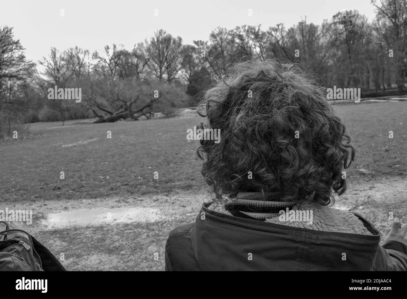 Ein alleinstehender Mann hinten, der die Natur im Park Amsterdam sucht. Schwarzweiß-Foto. Stockfoto