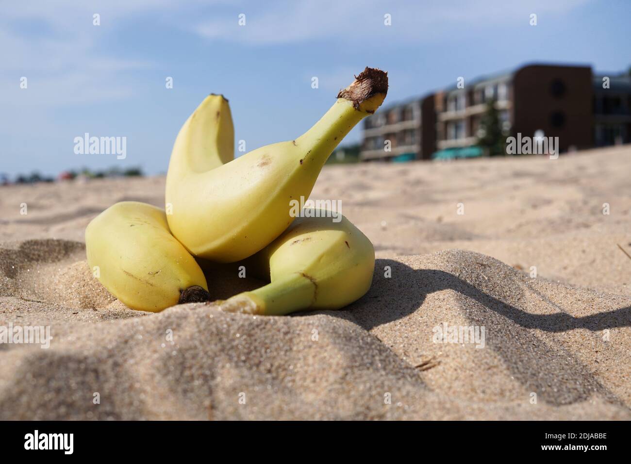 Ein Bündel gelbe Bananen auf dem Sand. Im Hintergrund ein Rastplatz, ein Restaurant und ein Hotel. Bundesstaat Michigan, Grand Haven Stockfoto