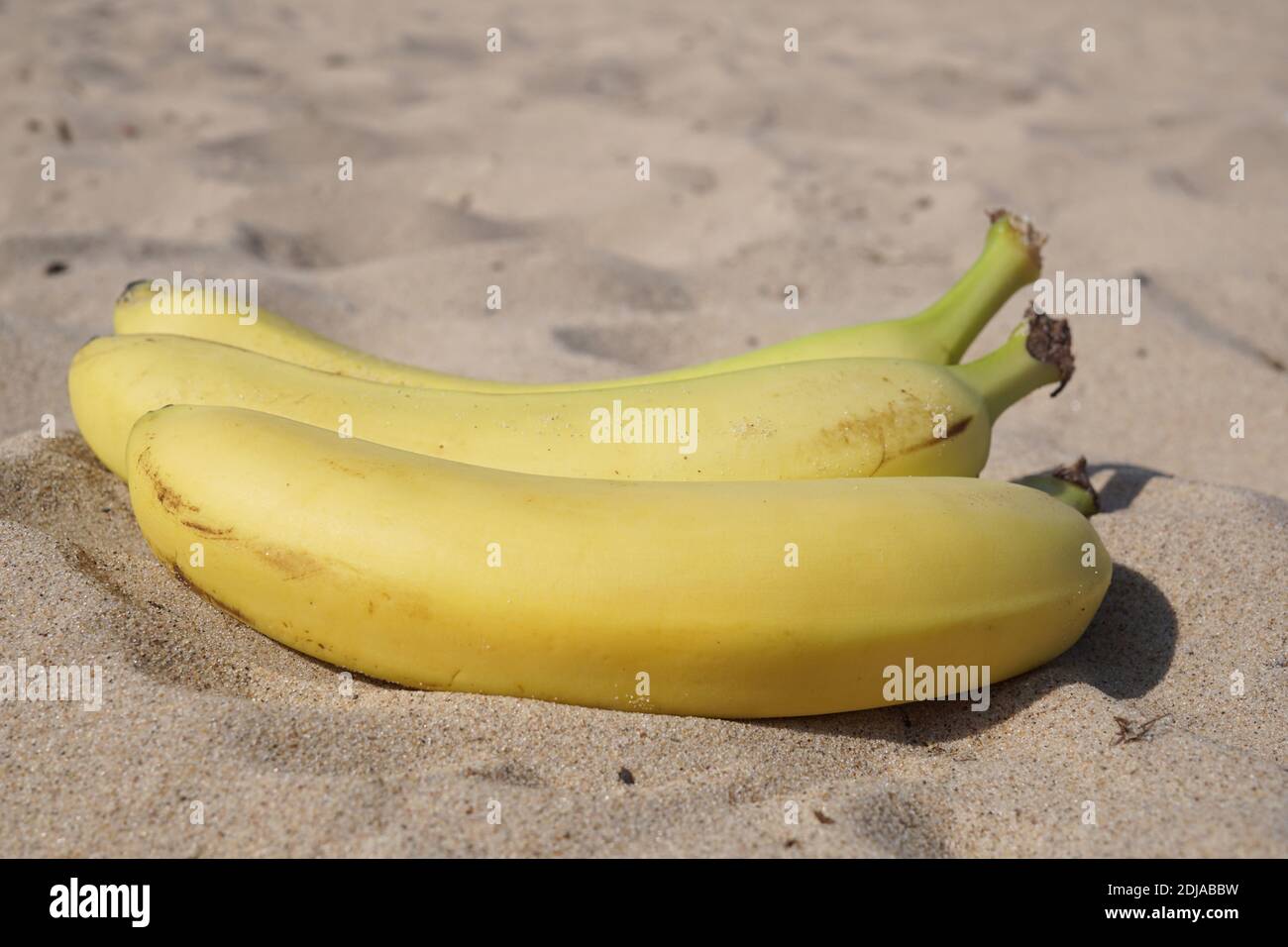 Drei gelbe Bananen an der Sandküste, USA. Bundesstaat Michigan, Grand Haven, USA Stockfoto