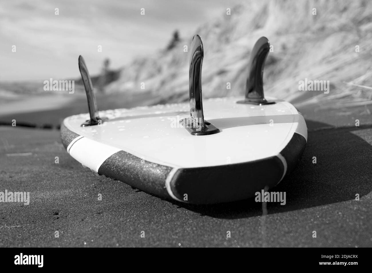 Nasses Schwarz und Weiß auf dem Rücken liegend am Ufer mit schwarzen Flossen nach oben. Monochromatische Fotografie. USA, Michigan, Holland Stockfoto