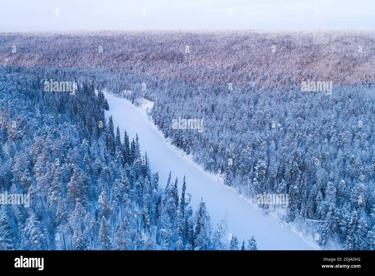 Schnee und Eis bedeckt Flusstal mit einem winterlichen Taiga Wald im Oulanka Nationalpark, finnische Natur umgeben. Stockfoto