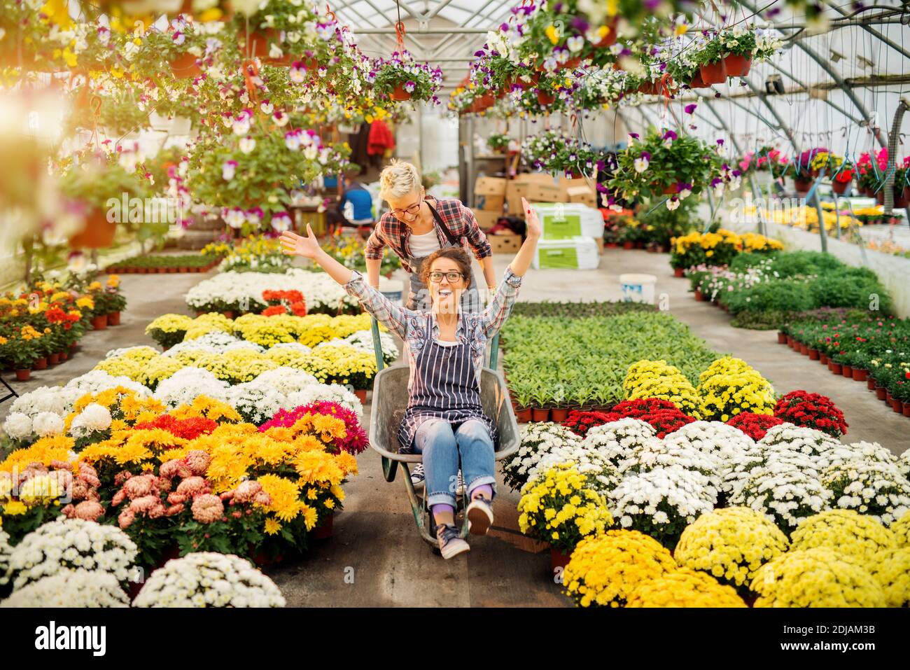 Zwei ziemlich verspielte Floristen Frauen mit einer lustigen Fahrt mit Wagen für eine Pause im Gewächshaus. Stockfoto